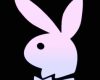 playboy